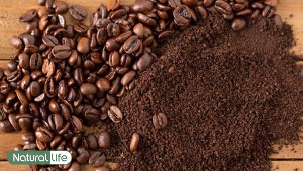 cách bảo quản bã cà phê cách bảo quản bã cà phê
