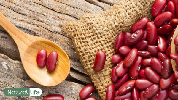 so sánh về dinh dưỡng đậu đỏ hạt to và đậu đỏ hạt nhỏ
